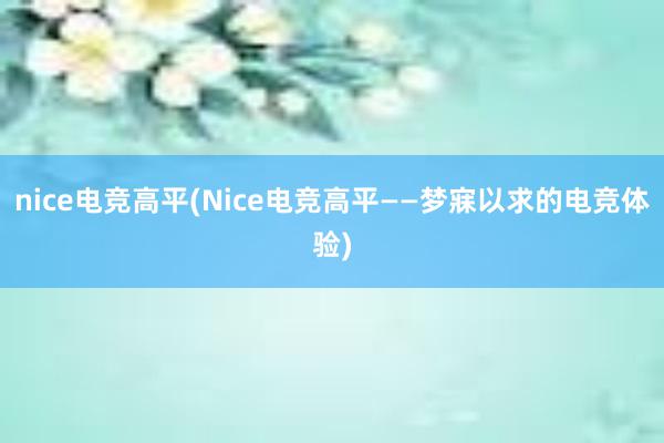 nice电竞高平(Nice电竞高平——梦寐以求的电竞体验)