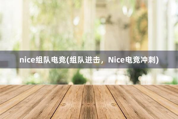 nice组队电竞(组队进击，Nice电竞冲刺)