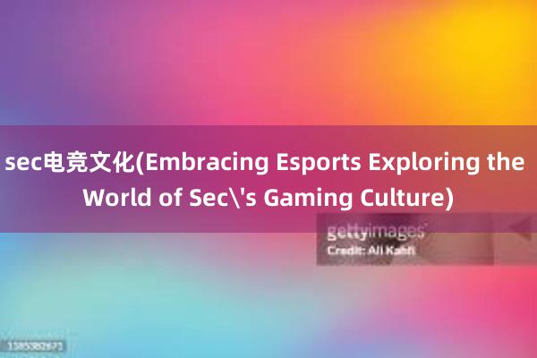 sec电竞文化(Embracing Esports Exploring the World of Sec