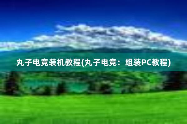 丸子电竞装机教程(丸子电竞：组装PC教程)