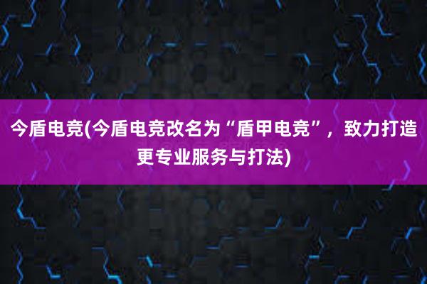 今盾电竞(今盾电竞改名为“盾甲电竞”，致力打造更专业服务与打法)