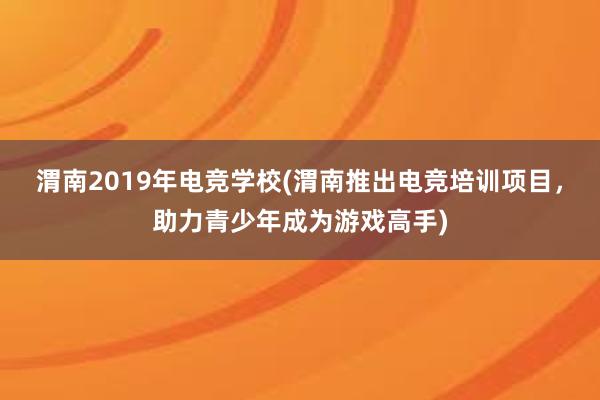 渭南2019年电竞学校(渭南推出电竞培训项目，助力青少年成为游戏高手)