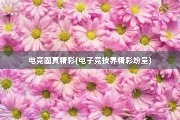 电竞圈真精彩(电子竞技界精彩纷呈)