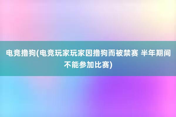 电竞撸狗(电竞玩家玩家因撸狗而被禁赛 半年期间不能参加比赛)