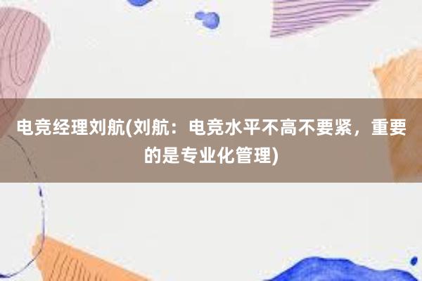 电竞经理刘航(刘航：电竞水平不高不要紧，重要的是专业化管理)