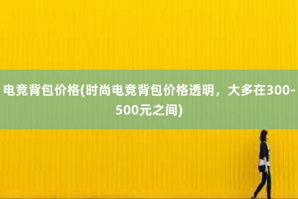 电竞背包价格(时尚电竞背包价格透明，大多在300-500元之间)