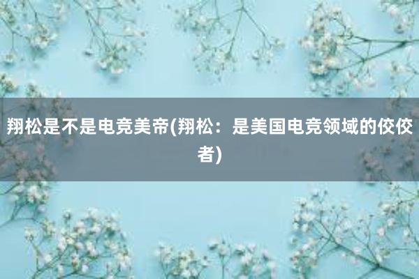 翔松是不是电竞美帝(翔松：是美国电竞领域的佼佼者)