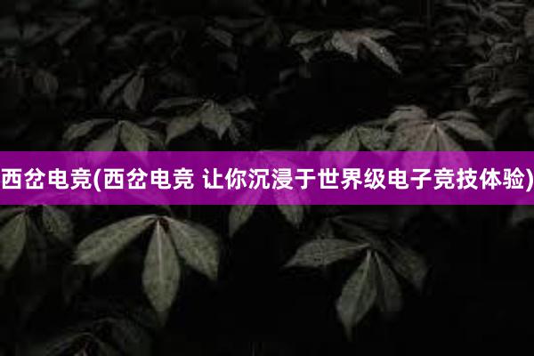 西岔电竞(西岔电竞 让你沉浸于世界级电子竞技体验)