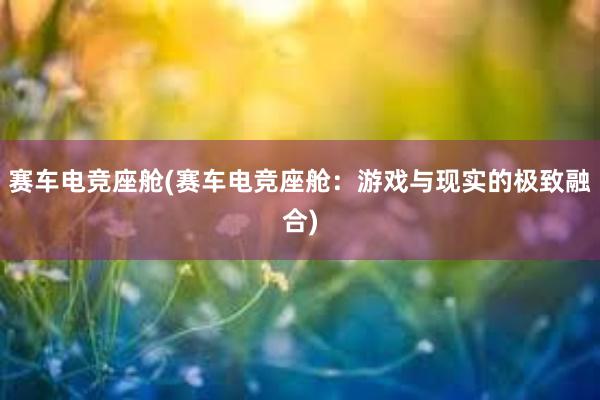 赛车电竞座舱(赛车电竞座舱：游戏与现实的极致融合)