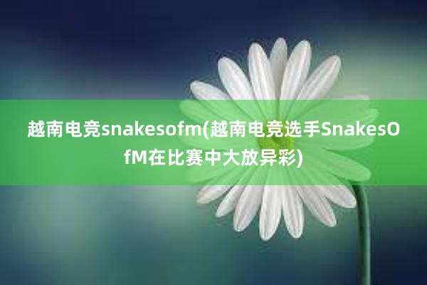 越南电竞snakesofm(越南电竞选手SnakesOfM在比赛中大放异彩)