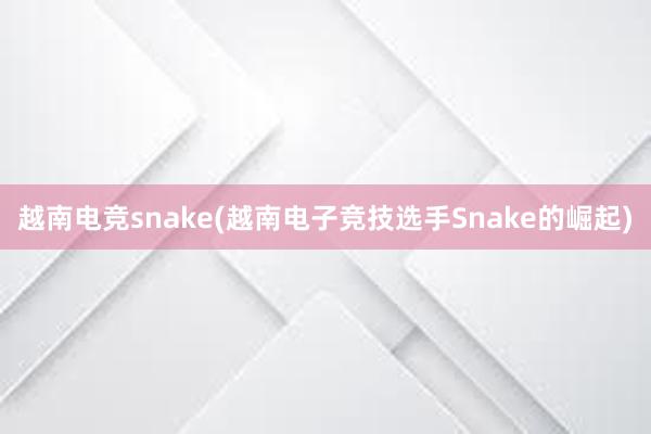 越南电竞snake(越南电子竞技选手Snake的崛起)