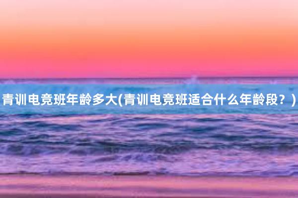 青训电竞班年龄多大(青训电竞班适合什么年龄段？)