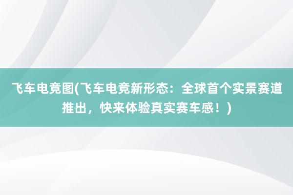 飞车电竞图(飞车电竞新形态：全球首个实景赛道推出，快来体验真实赛车感！)