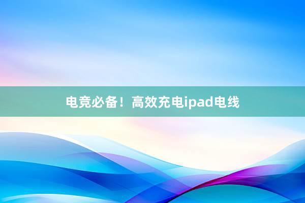 电竞必备！高效充电ipad电线