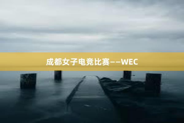 成都女子电竞比赛——WEC