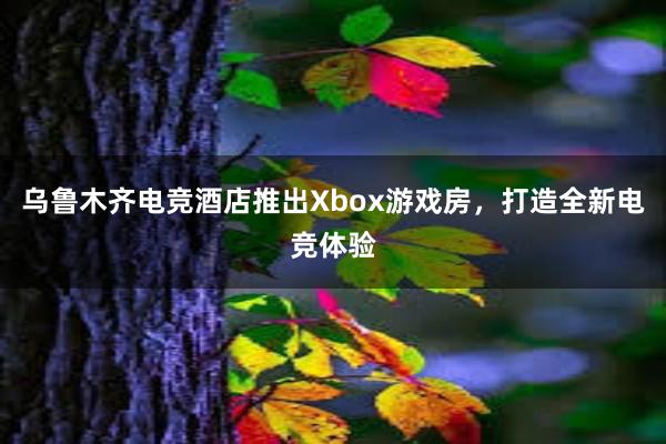 乌鲁木齐电竞酒店推出Xbox游戏房，打造全新电竞体验