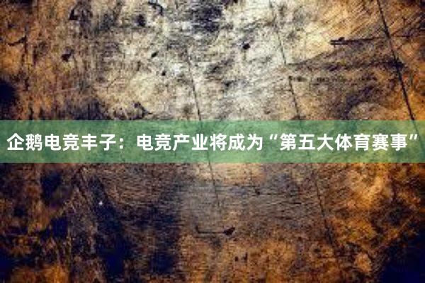 企鹅电竞丰子：电竞产业将成为“第五大体育赛事”