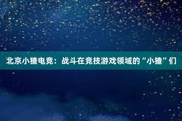 北京小猹电竞：战斗在竞技游戏领域的“小猹”们