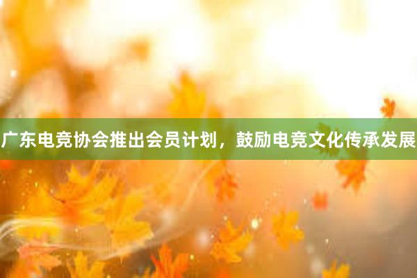 广东电竞协会推出会员计划，鼓励电竞文化传承发展