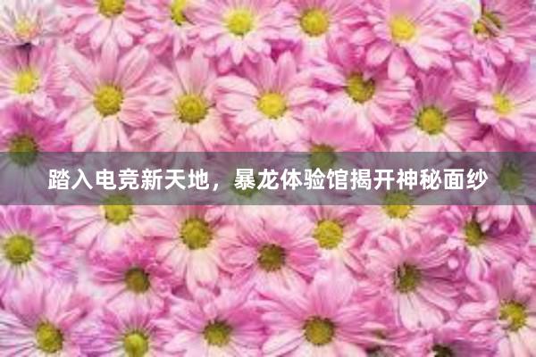 踏入电竞新天地，暴龙体验馆揭开神秘面纱