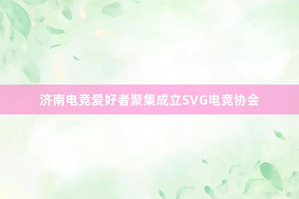 济南电竞爱好者聚集成立SVG电竞协会