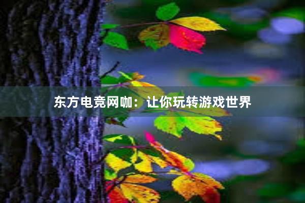 东方电竞网咖：让你玩转游戏世界