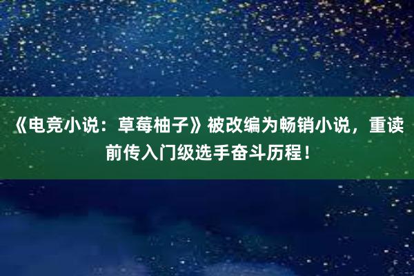 《电竞小说：草莓柚子》被改编为畅销小说，重读前传入门级选手奋斗历程！