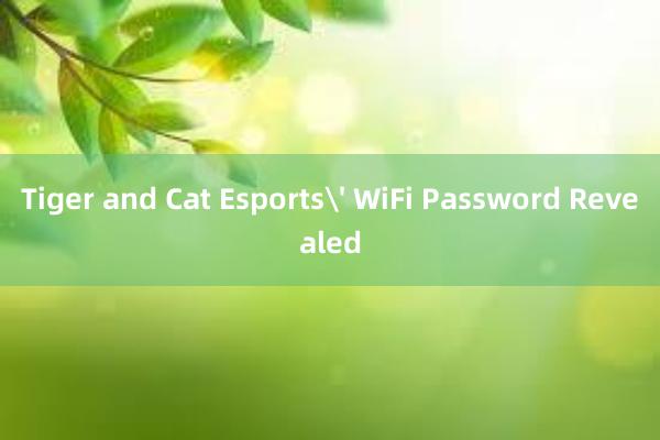 Tiger and Cat Esports' WiFi Password Revealed